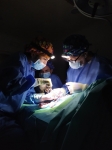 34. HASTA QUE LA ULTIMA LUZ SE APAGUE. CAMERUN