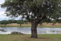 7. CAMINAR DEL TIEMPO