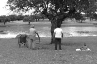 8. CONTEMPLANDO EL VIAJE